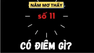 Nắm thông tin về Nằm mơ thấy số 11 đánh con gì đẻ chơi hiệu quả