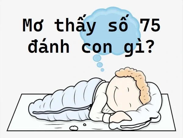 Đáp án nằm mơ thấy số 75 đánh con gì chuẩn nhất