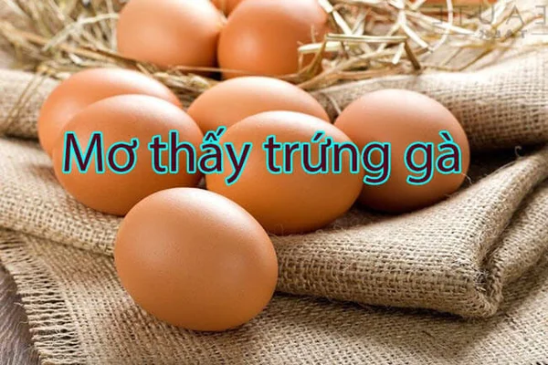 Mơ nhìn thấy trứng đánh đề con gì cho dễ trúng giải? với giấc mơ trứng gà