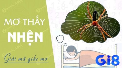 Khám phá một số điềm báo về giấc mơ nhìn thấy nhện trắng