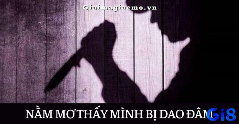 Giải mã mơ bị đâm bằng dao đánh con gì cùng Gi8x.me nhé!